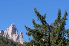 castagnata-2021-36