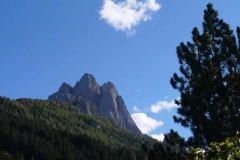 castagnata-2021-37