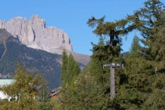 castagnata-2021-50