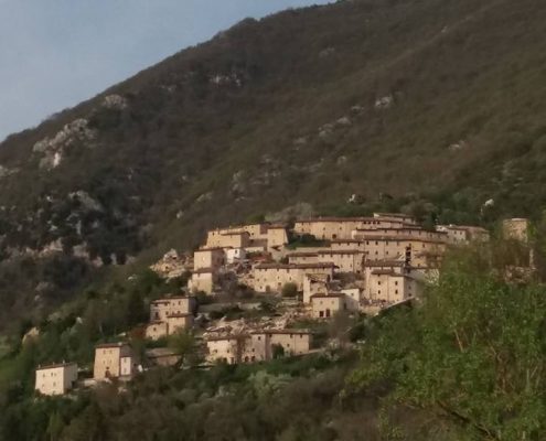 BackToCampi_4